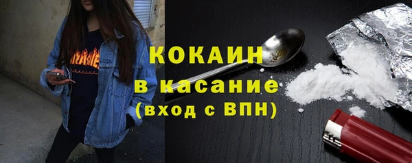индика Карпинск