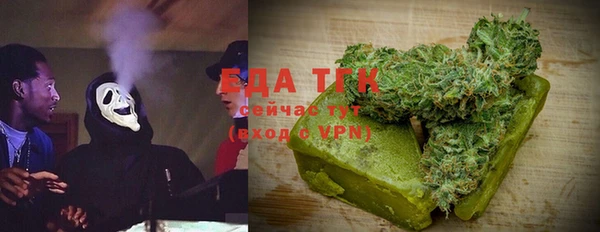 индика Карпинск