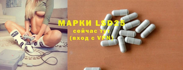 индика Карпинск