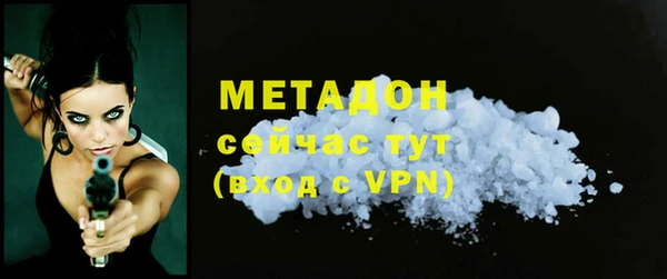 индика Карпинск