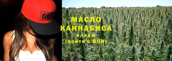 индика Карпинск