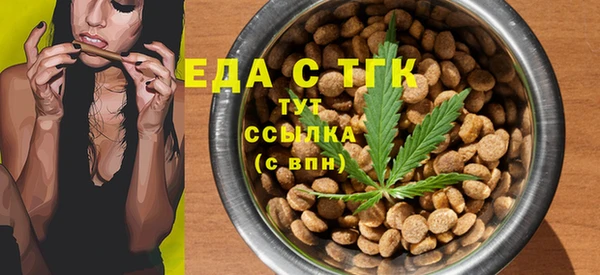 индика Карпинск