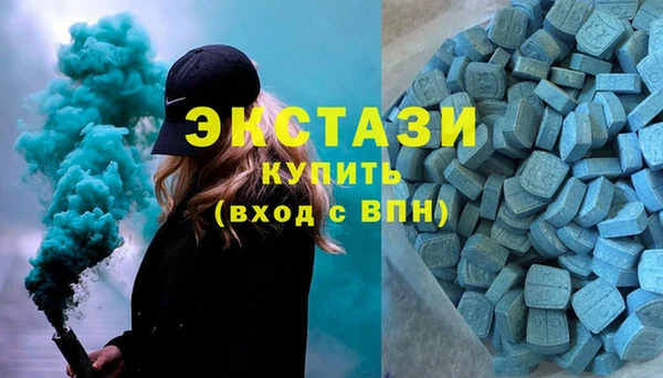 индика Карпинск
