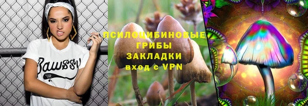 spice Касимов