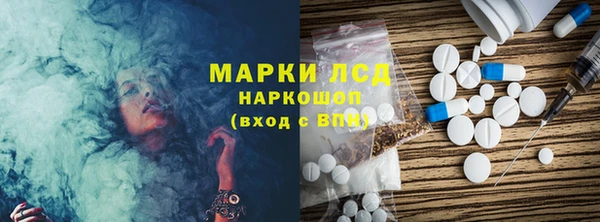индика Карпинск