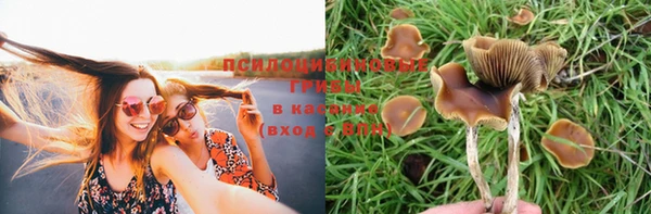 марки nbome Карталы