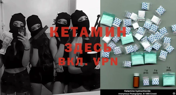 индика Карпинск